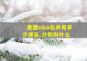 美国nba总共有多少球队,分别叫什么