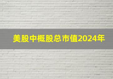 美股中概股总市值2024年