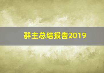 群主总结报告2019