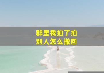 群里我拍了拍别人怎么撤回