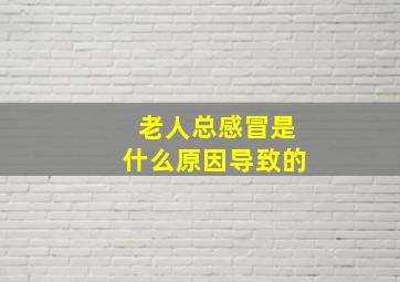 老人总感冒是什么原因导致的