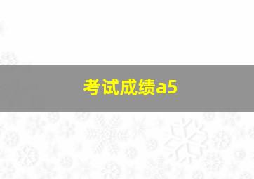 考试成绩a5