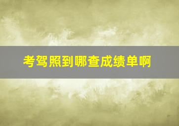 考驾照到哪查成绩单啊