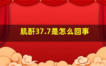 肌酐37.7是怎么回事