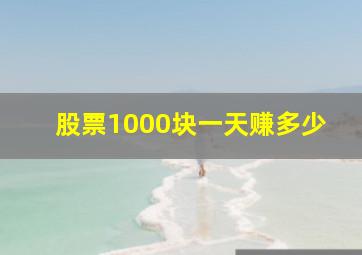 股票1000块一天赚多少