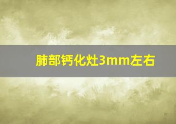 肺部钙化灶3mm左右