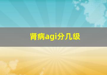 肾病agi分几级