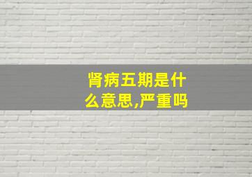 肾病五期是什么意思,严重吗