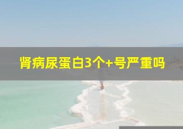 肾病尿蛋白3个+号严重吗