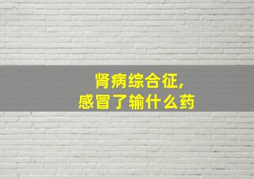 肾病综合征,感冒了输什么药