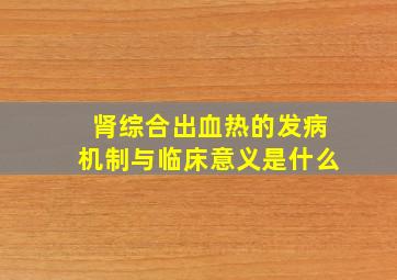 肾综合出血热的发病机制与临床意义是什么