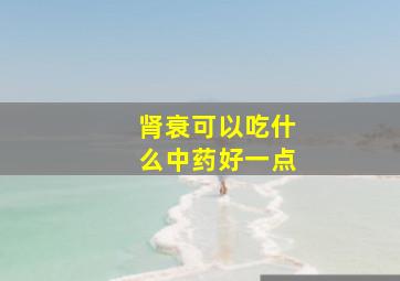 肾衰可以吃什么中药好一点