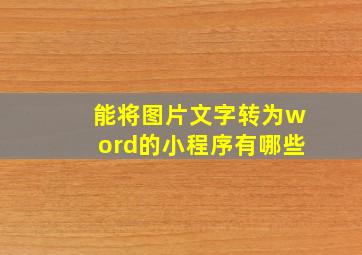 能将图片文字转为word的小程序有哪些