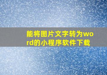 能将图片文字转为word的小程序软件下载