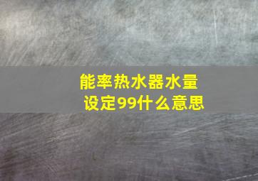 能率热水器水量设定99什么意思