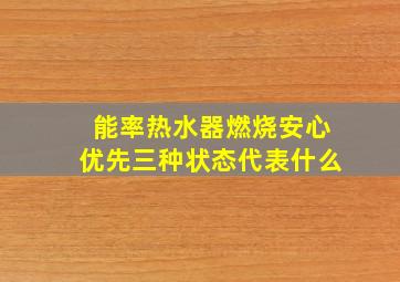 能率热水器燃烧安心优先三种状态代表什么