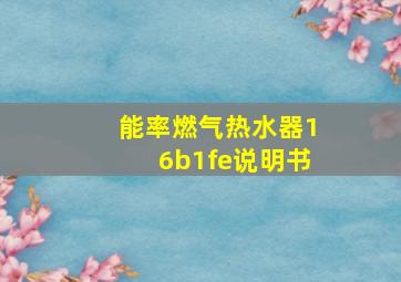 能率燃气热水器16b1fe说明书