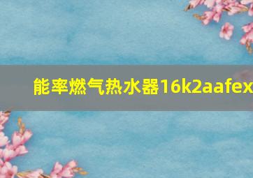 能率燃气热水器16k2aafex