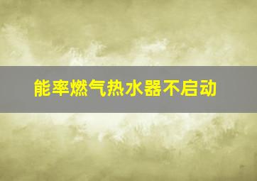 能率燃气热水器不启动