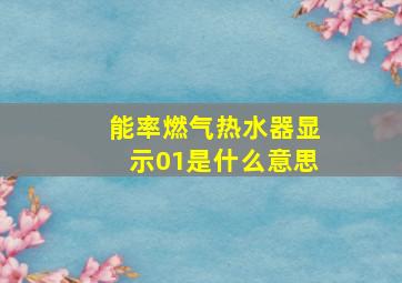 能率燃气热水器显示01是什么意思