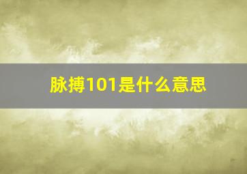 脉搏101是什么意思