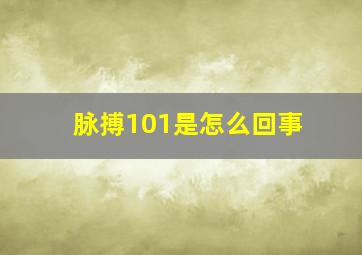 脉搏101是怎么回事