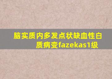 脑实质内多发点状缺血性白质病变fazekas1级