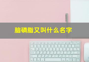 脑磷脂又叫什么名字