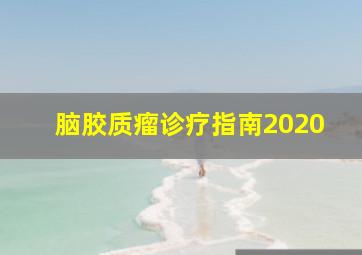 脑胶质瘤诊疗指南2020