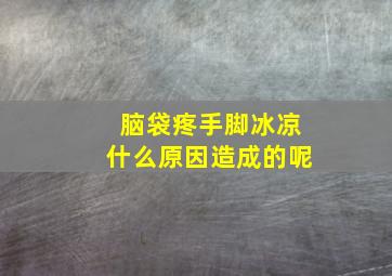 脑袋疼手脚冰凉什么原因造成的呢