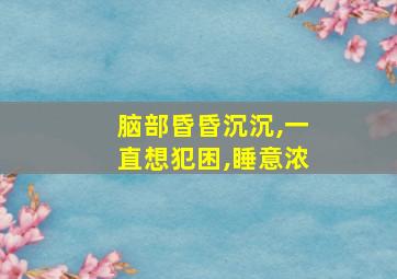 脑部昏昏沉沉,一直想犯困,睡意浓