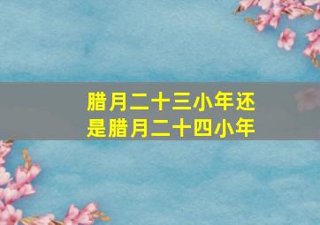 腊月二十三小年还是腊月二十四小年