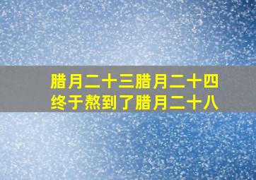 腊月二十三腊月二十四终于熬到了腊月二十八