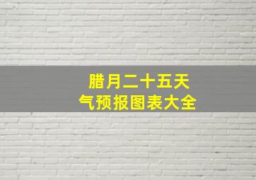 腊月二十五天气预报图表大全