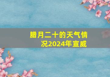 腊月二十的天气情况2024年宣威