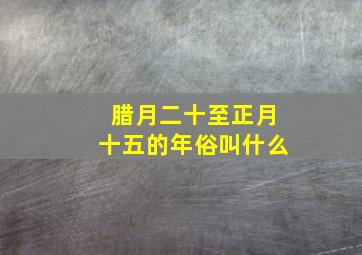 腊月二十至正月十五的年俗叫什么