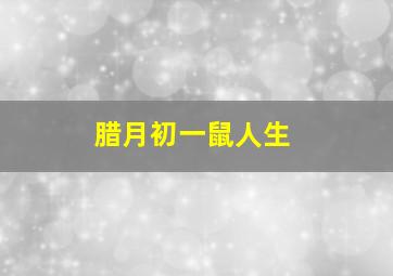 腊月初一鼠人生