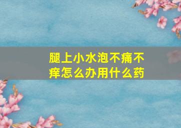 腿上小水泡不痛不痒怎么办用什么药