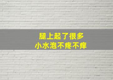 腿上起了很多小水泡不疼不痒