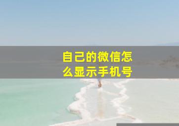 自己的微信怎么显示手机号