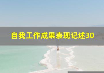 自我工作成果表现记述30