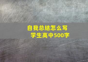 自我总结怎么写学生高中500字