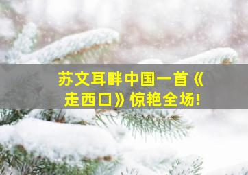 苏文耳畔中国一首《走西口》惊艳全场!