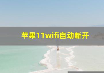 苹果11wifi自动断开