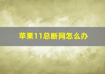 苹果11总断网怎么办