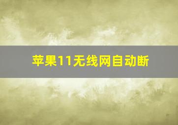 苹果11无线网自动断