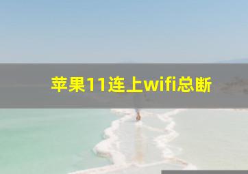 苹果11连上wifi总断