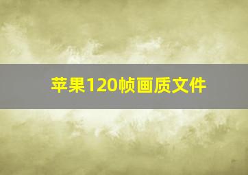 苹果120帧画质文件