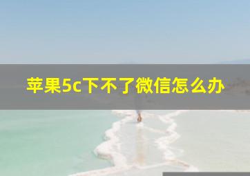 苹果5c下不了微信怎么办