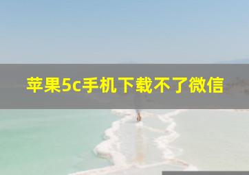 苹果5c手机下载不了微信